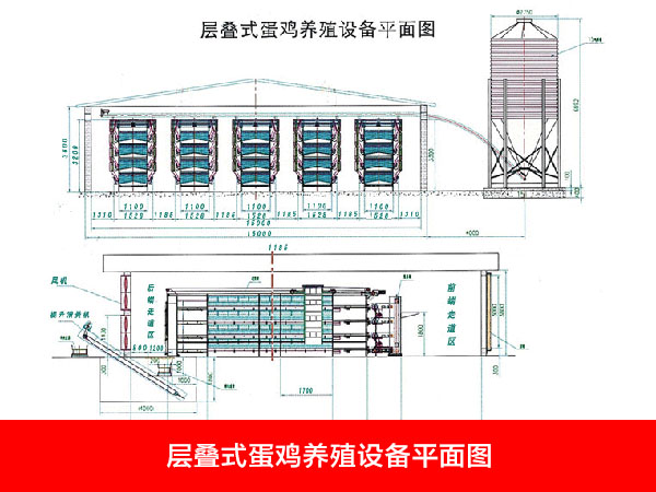 层叠式蛋鸡养殖设备平面图