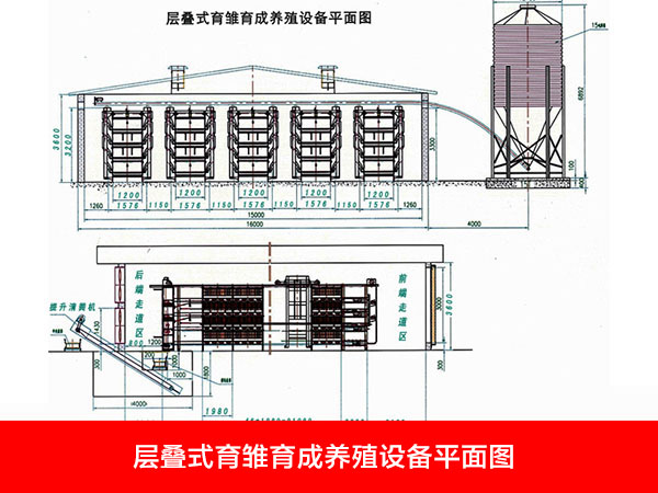 层叠式育雏育成养殖设备平面图