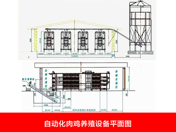 自动化肉鸡养殖设备平面图